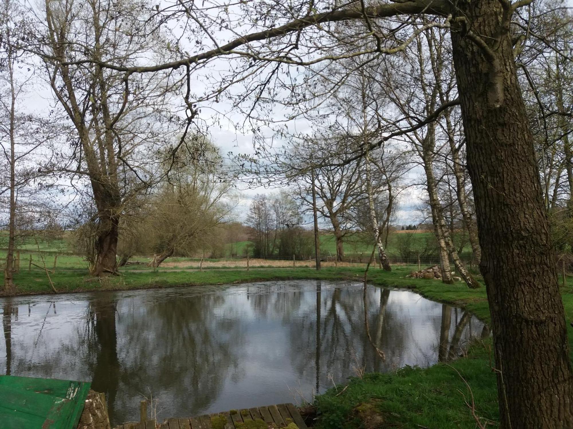 Le Sentier Des Etangs Lägenhet Barsy Exteriör bild